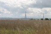 Pont de Normandie au loin